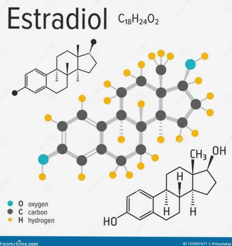 Estradiolo