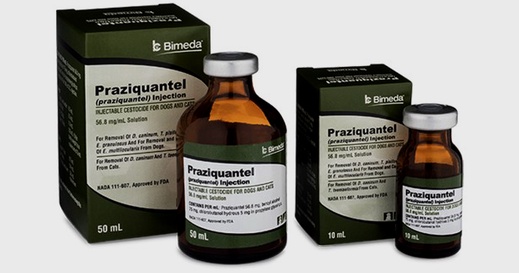 praziquantel